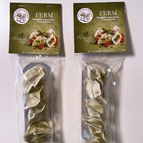 FERM-Tempeh-05